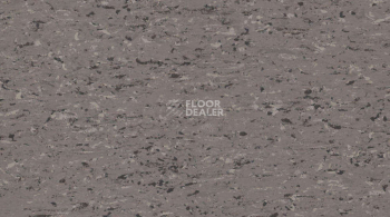 Линолеум Gerflor Mipolam Accord 0342 POZZOLO фото 1 | FLOORDEALER